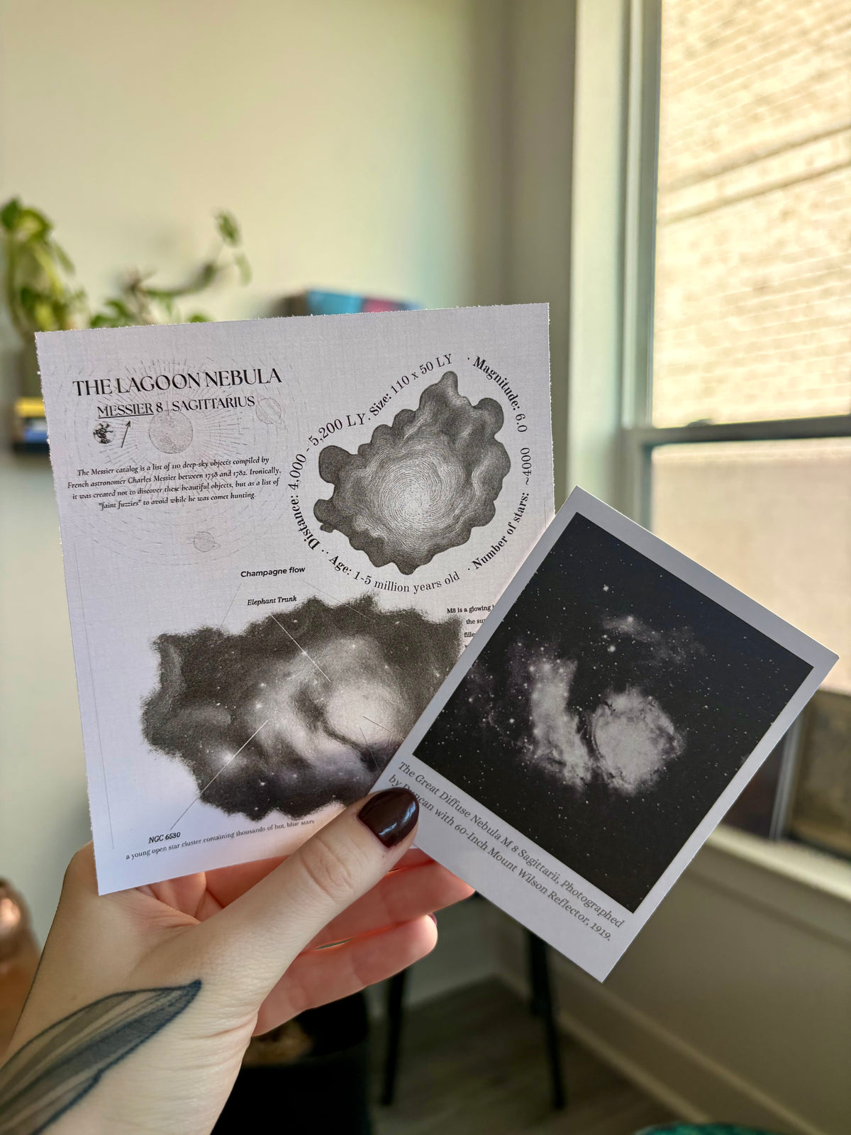 August Catch Up Letter